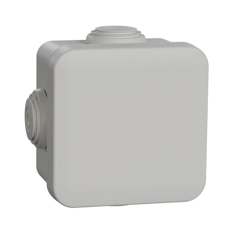 Schneider Electric Sarel MUREVA Aufputzdose Wand/Decke - ENN05002 [2 Stück]