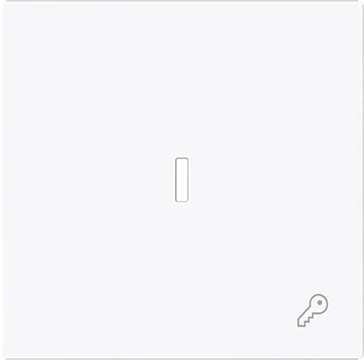ABB Busch Einzelne Wippenschalter Mit Schlüssel Symbol Und Linse - 2CKA001751A3377