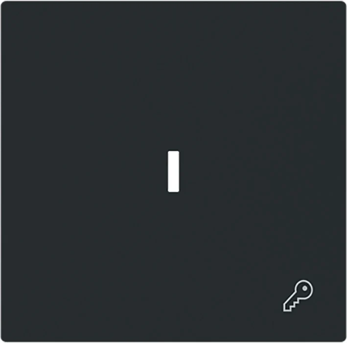 ABB Busch Schlüssel Symbol Wippenschalter Abdeckung Schwarz Matt - 2CKA001751A3380