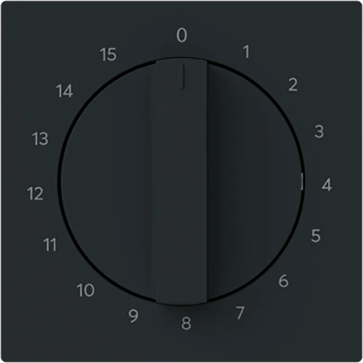 ABB Busch Timer Steuerplatte Mit 15 Min Wählschalter Schwarz - 2CKA001753A9985