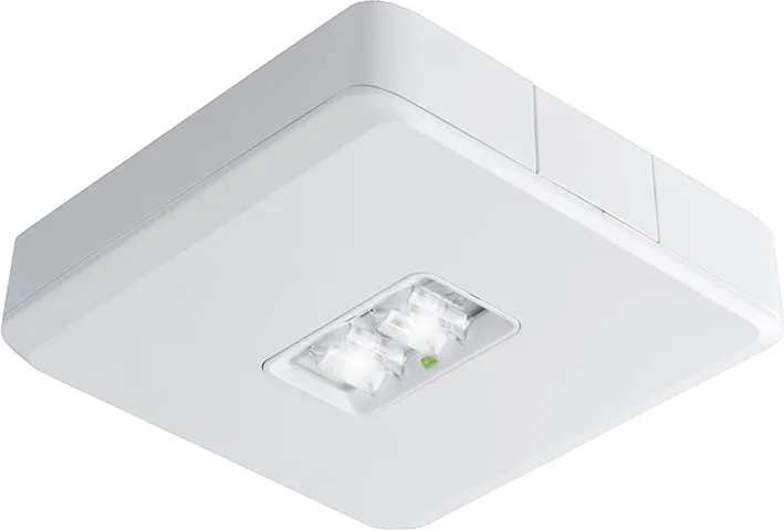 2W Oberflächenmontage LED Notlicht Mit DALI Steuerung - 7TCA091180R0304