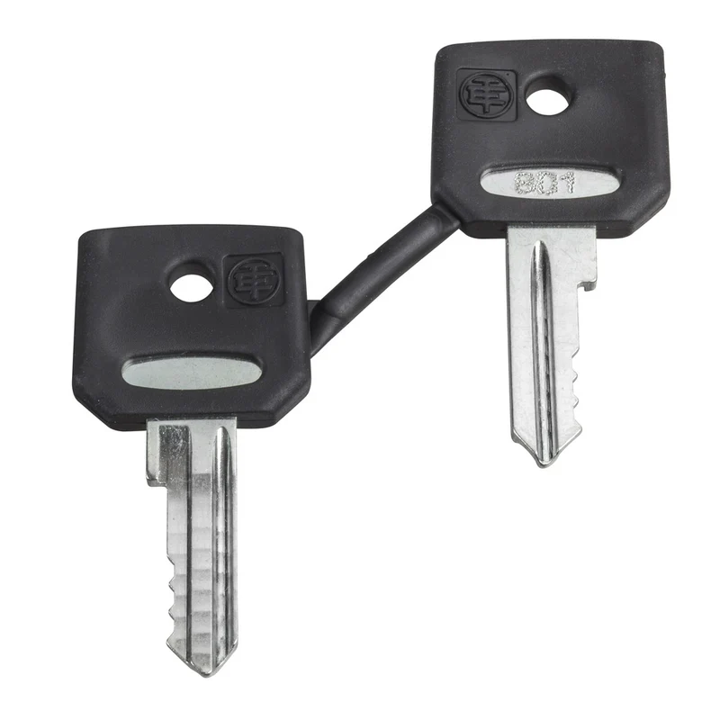 Schneider Electric Ronis 455 Schlüsselset Mit Schutzhülle - ZBG455P