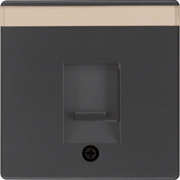 RJ Datacenterplatte Mit Staubschutz Q Serie - 11706086