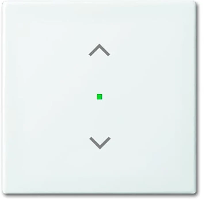 ABB Busch-Jaeger Busch-FreeAtHome Bedienelement/Zentralplatte Schaltgerät - 2CKA006220A0357 [2 Stück]